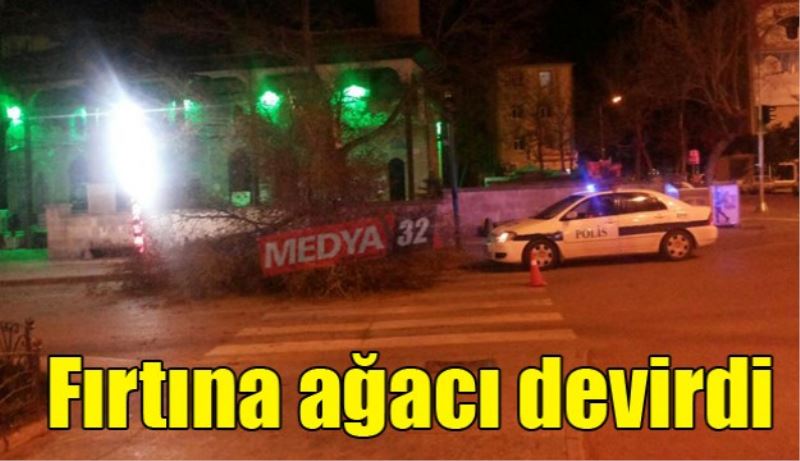 Fırtına caminin ağacını devirdi