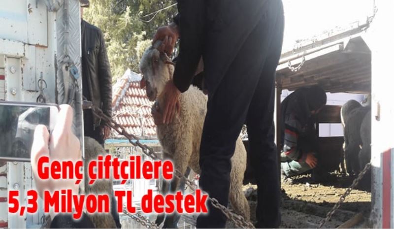 Genç çiftçilere 5,3 Milyon TL destek