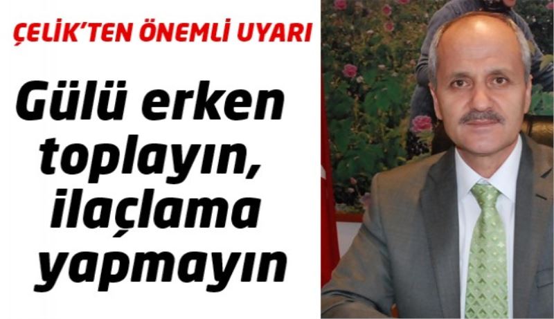 Gülü erken toplayın, ilaçlama yapmayın