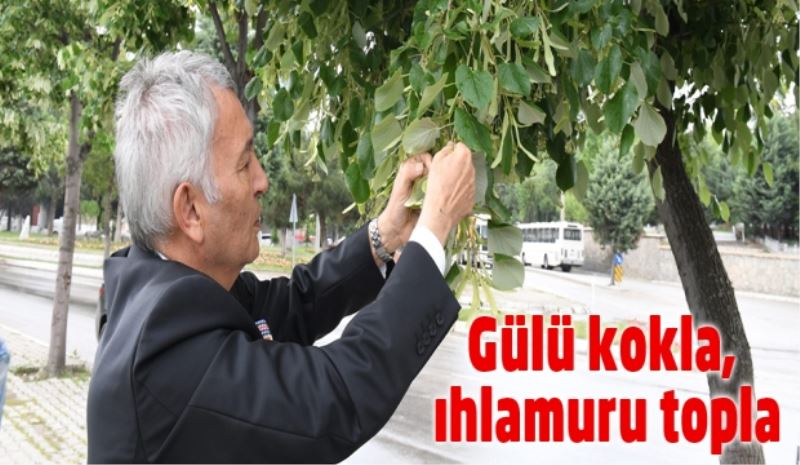 Gülü kokla, ıhlamuru topla