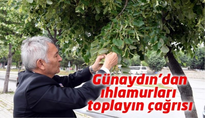 Günaydın’dan ıhlamurları toplayın çağrısı