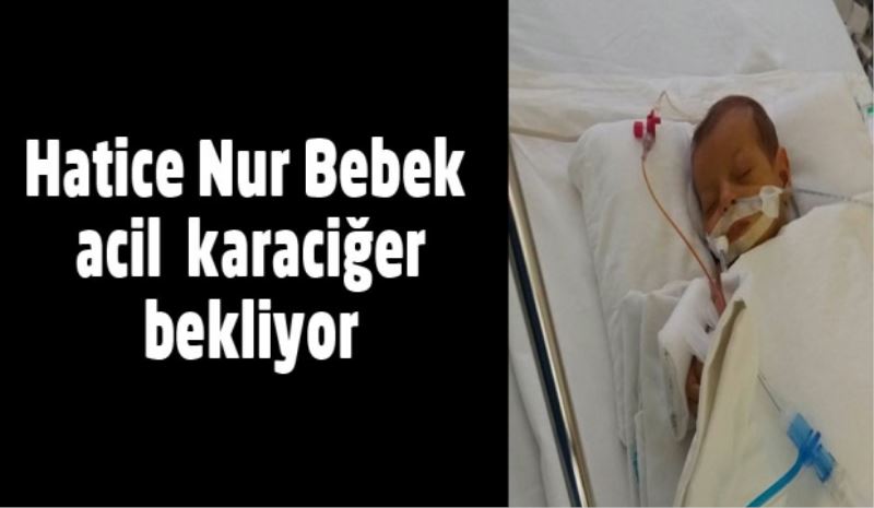 Hatice Nur Bebek, acil  karaciğer bekliyor