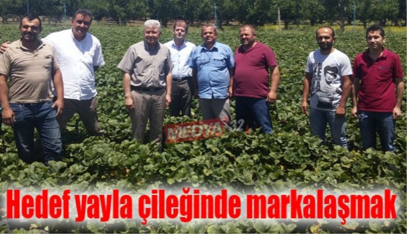 Hedef yayla çileğinde markalaşmak 