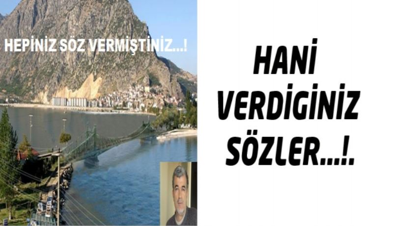 HEPİNİZ SÖZ VERMİŞTİNİZ