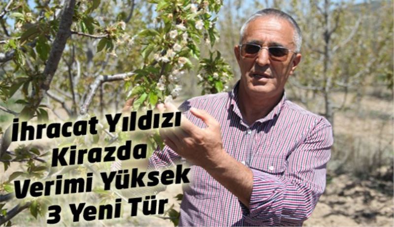 İhracat Yıldızı Kirazda Verimi Yüksek 3 Yeni Tür