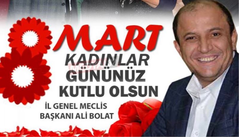 İl Genel Meclisi Başkanı Bolat