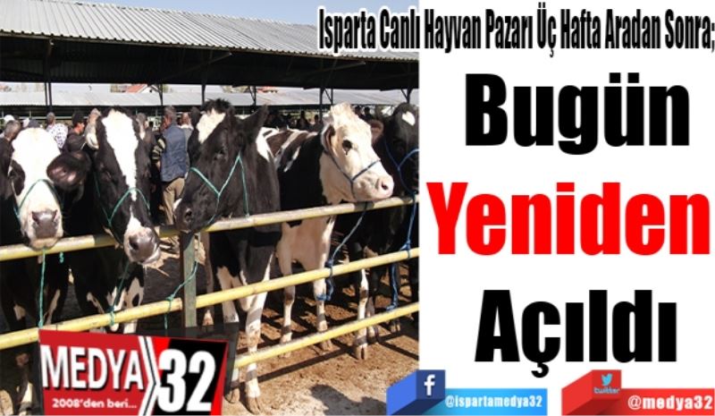 Isparta Canlı Hayvan Pazarı Üç Hafta Aradan Sonra; 
Bugün
Yeniden 
Açıldı
