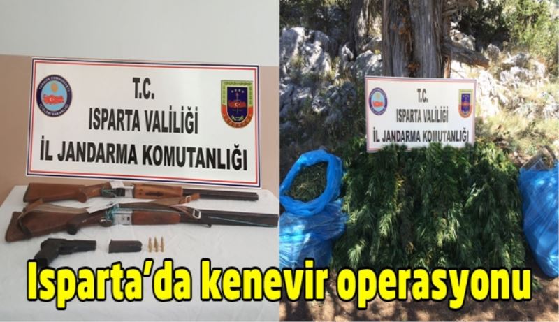 Isparta’da kenevir operasyonu