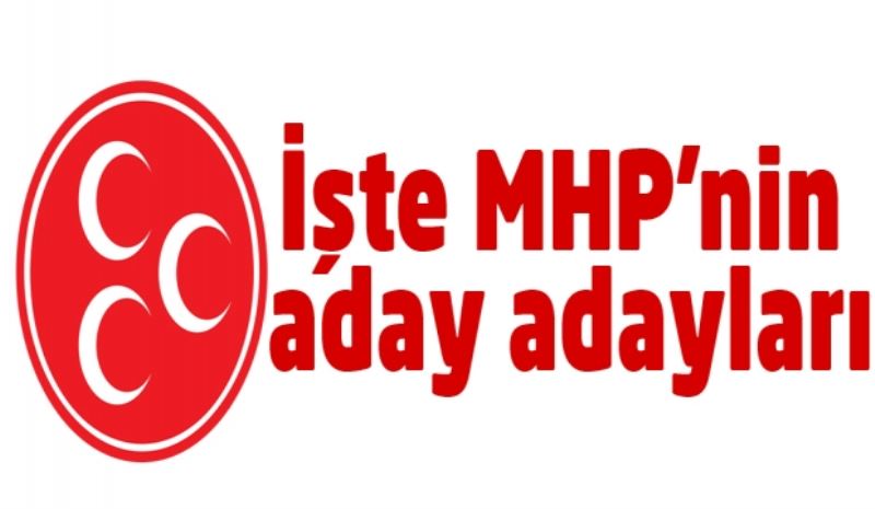 İşte MHP