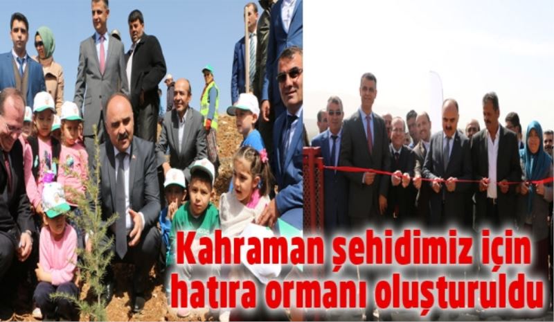 Kahraman şehidimiz için hatıra ormanı oluşturuldu