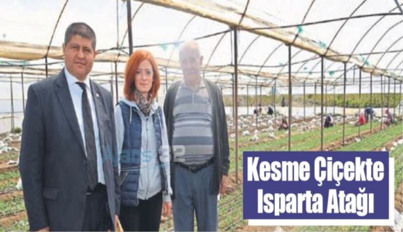 Kesme çiçekte Isparta atağı