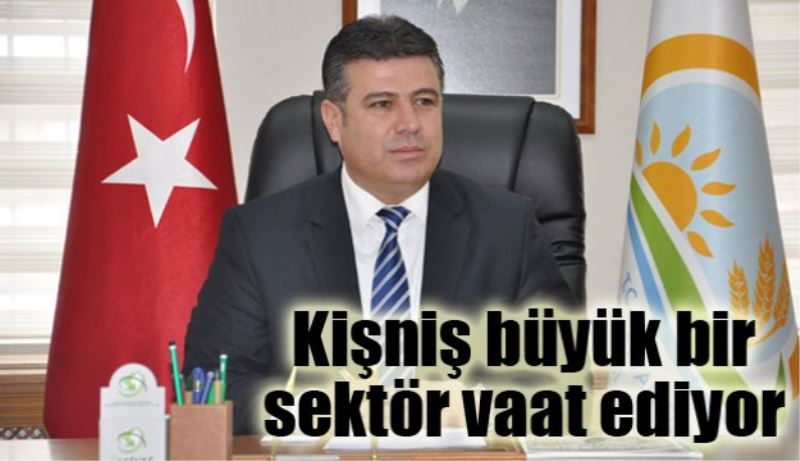 Kişniş büyük bir sektör vaat ediyor