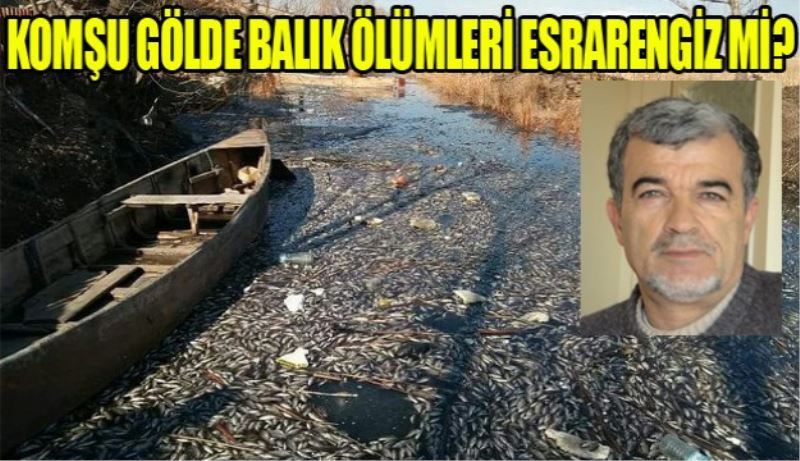 KOMŞU GÖLDE BALIK ÖLÜMLERİ ESRARENGİZ Mİ?