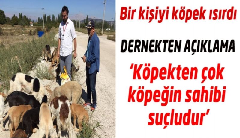 ‘Köpekten çok köpeğin sahibi suçludur’