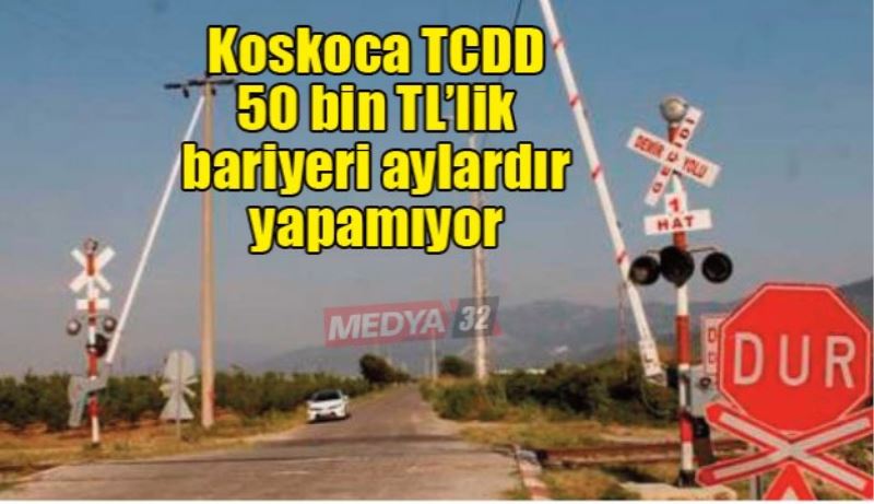 Koskoca TCDD 50 bin TL