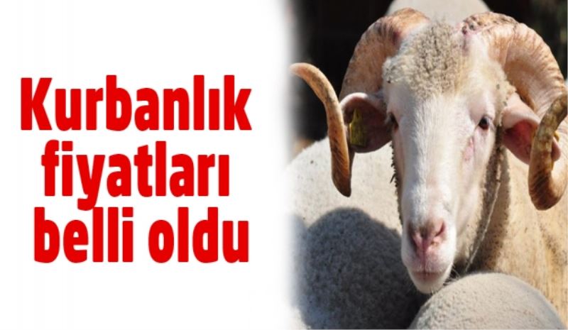 Kurbanlık fiyatları belli oldu