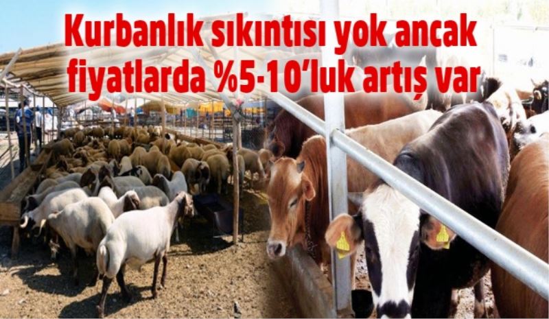 Kurbanlık sıkıntısı yok ancak fiyatlarda %5-10’luk artış var