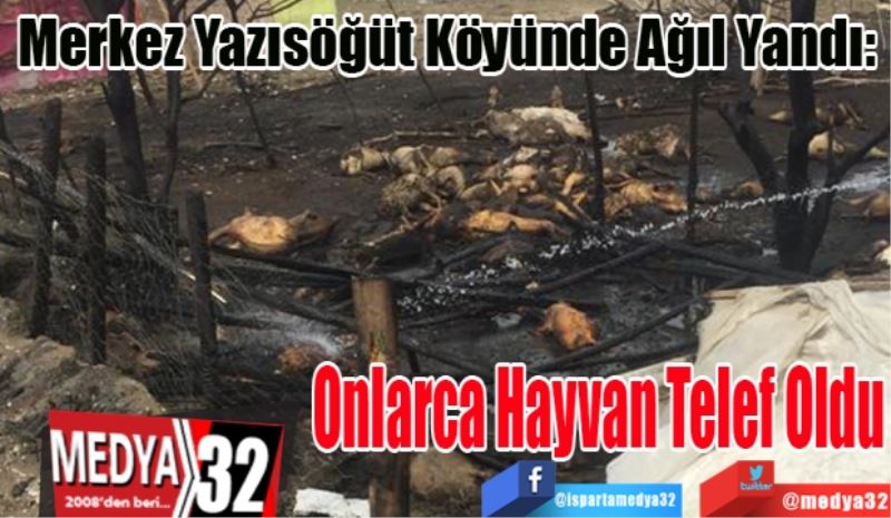 Merkez Yazısöğüt Köyünde Ağıl Yandı: 
Onlarca 
Hayvan 
Telef Oldu
