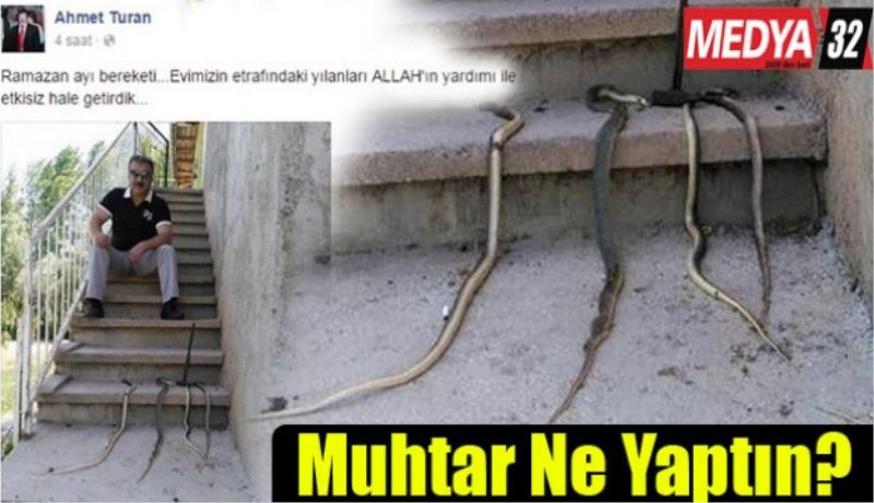 Muhtar ne yaptın?