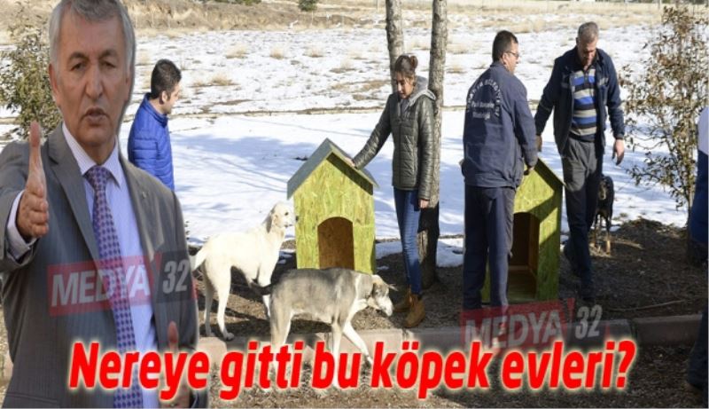 Nereye gitti bu köpek evleri?