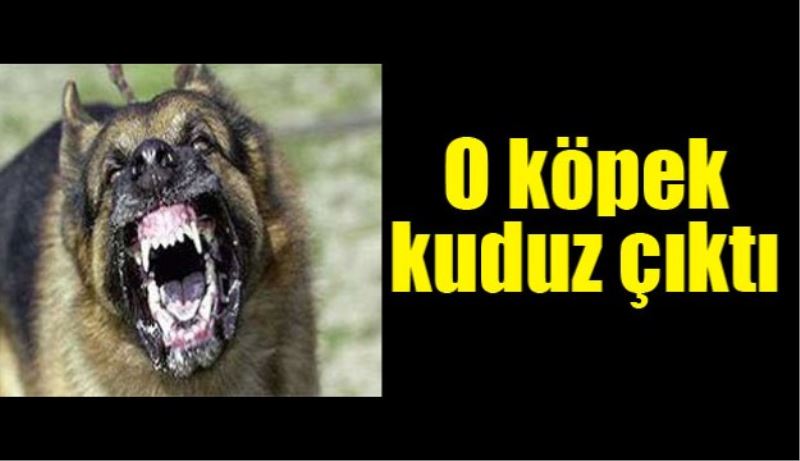 O köpek kuduz çıktı 