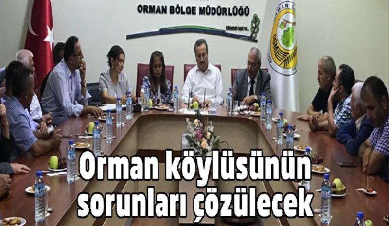 Orman köylüsünün sorunları çözülecek