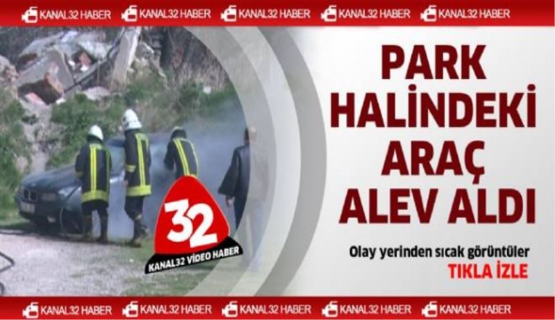 Park halindeki araç alev aldı