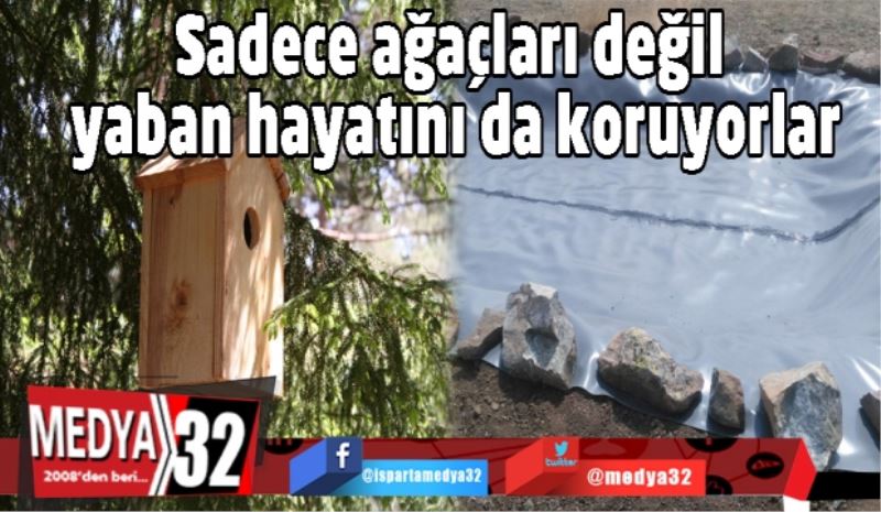 Sadece ağaçları değil yaban hayatını da koruyorlar