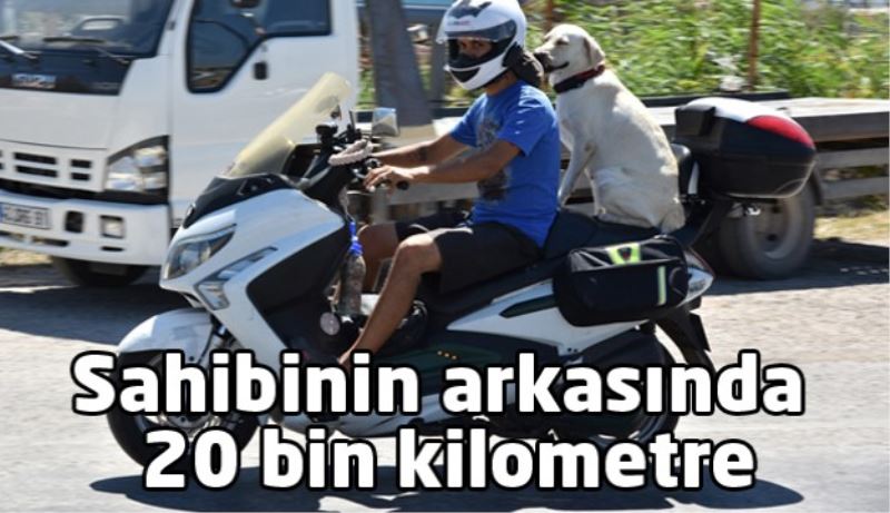 Sahibinin arkasında 20 bin kilometre