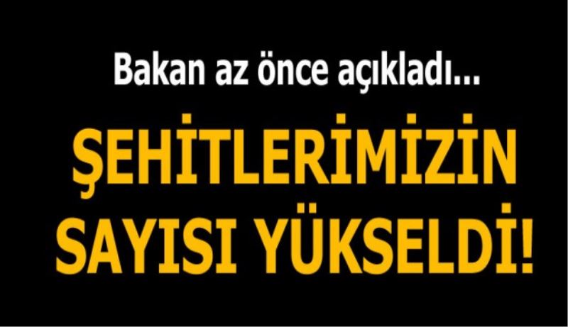 Şehitlerimizin sayısı yükseldi