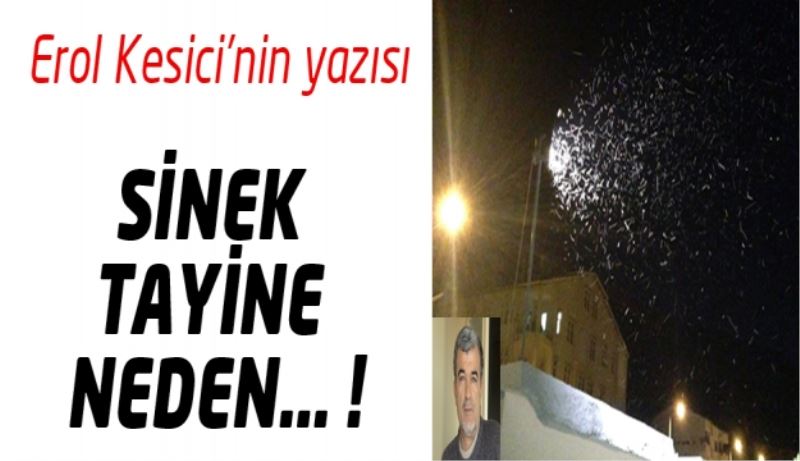 SİNEK TAYİNE NEDEN… !