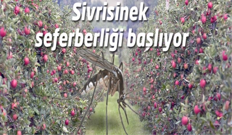 Sivrisinek seferberliği başlıyor