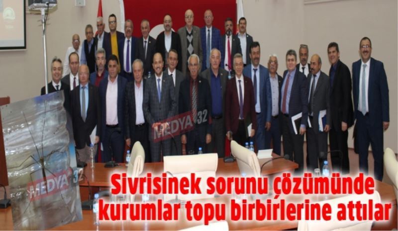 Sivrisinek sorunu çözümünde topu birbirlerine attılar