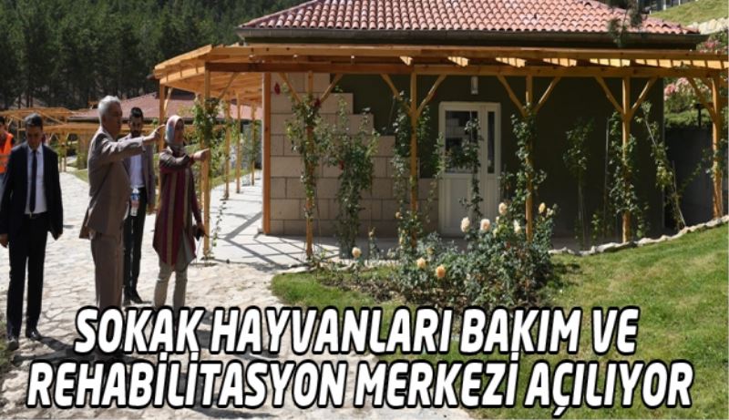 Sokak Hayvanları Bakım ve Rehabilitasyon Merkezi Açılıyor