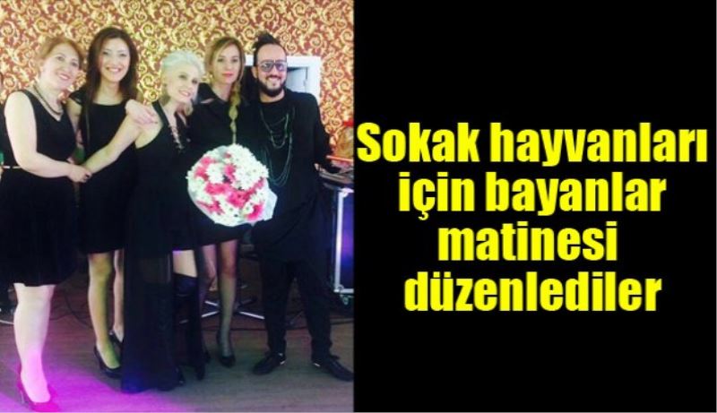 Sokak hayvanları için bayanlar matinesi düzenlediler