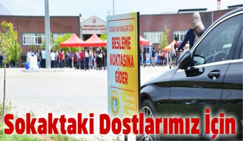 Sokaktaki dostlarımız için