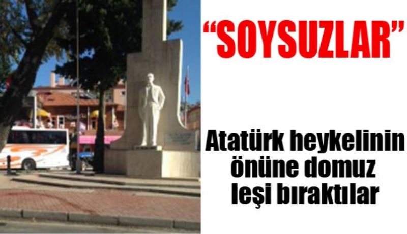 Soysuzlar