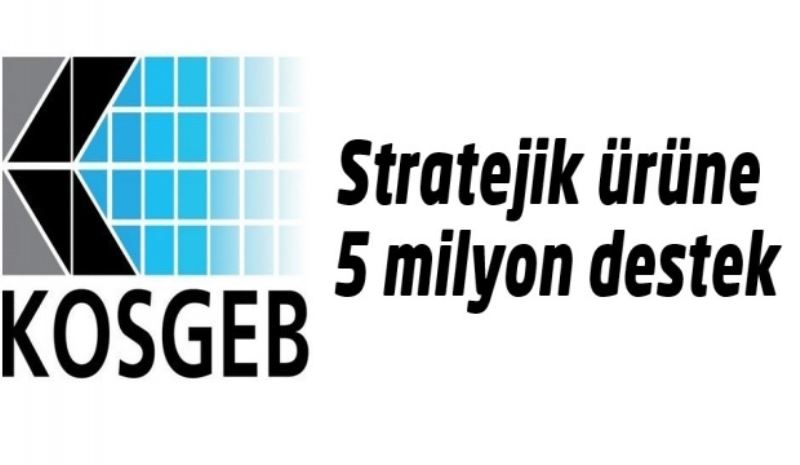 Stratejik ürüne 5 milyon destek