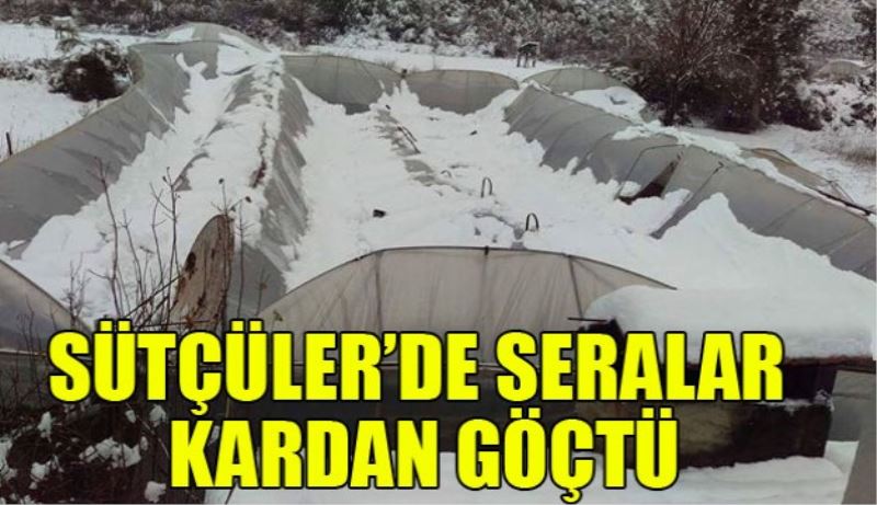 Sütçüler