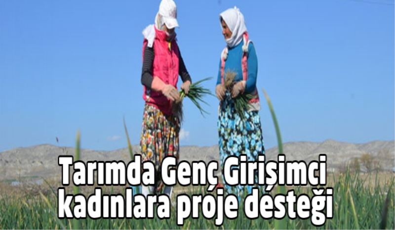 Tarımda Genç Girişimci kadınlara proje desteği