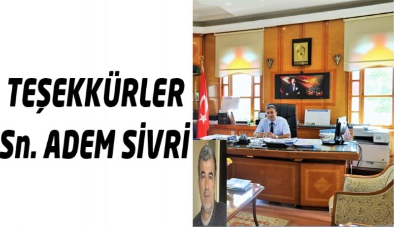 Teşekkürler