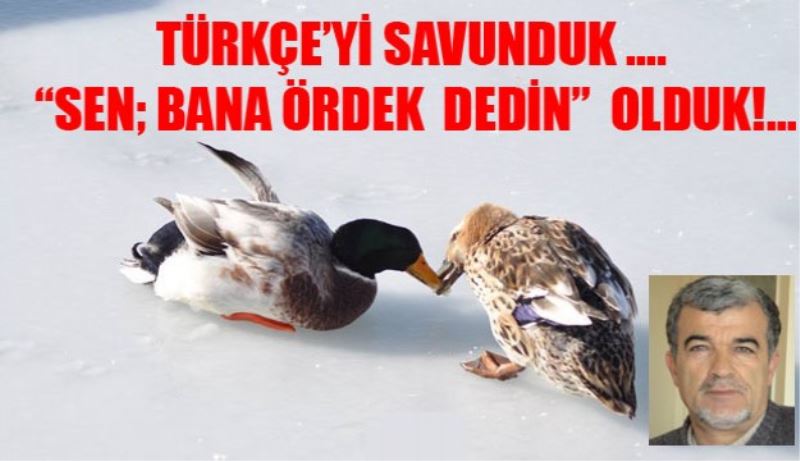 TÜRKÇE’Yİ SAVUNDUK …. “SEN; BANA ÖRDEK  DEDİN”  OLDUK!…