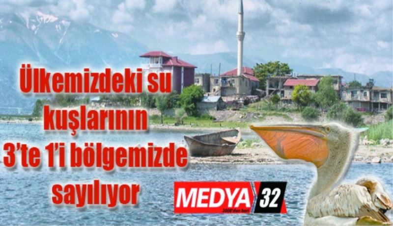 Ülkemizdeki su kuşlarının 3’te 1’i bölgemizde sayılıyor