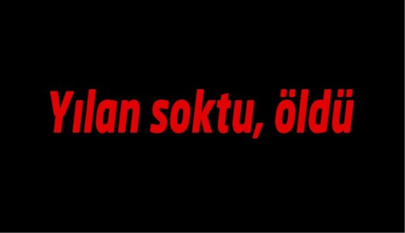 Yılan soktu, öldü